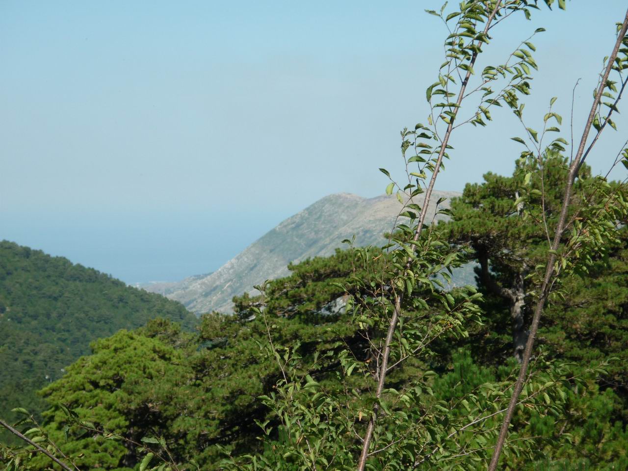albanie_222.jpg