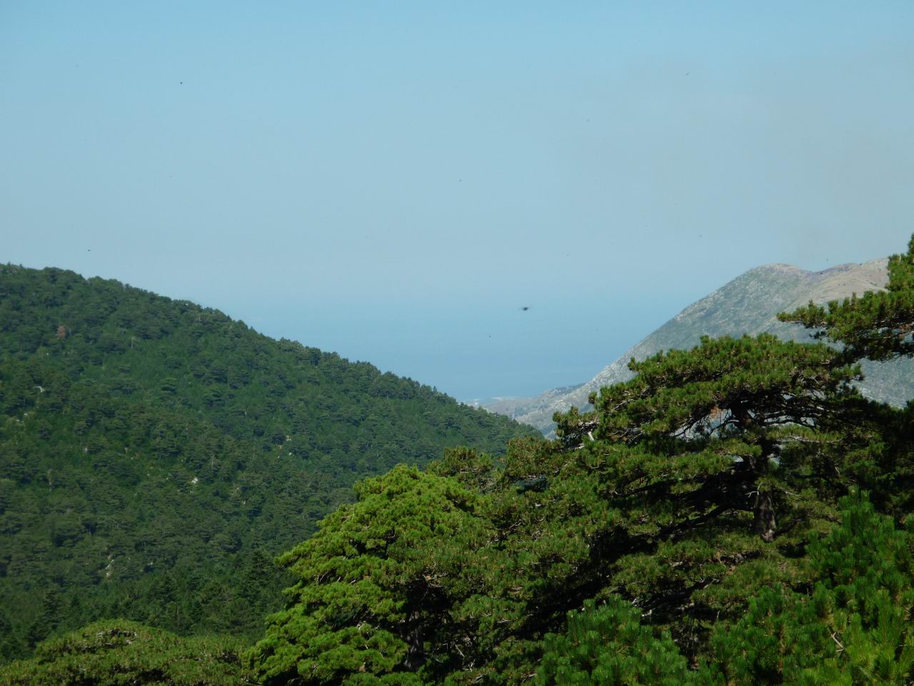 albanie_223.jpg