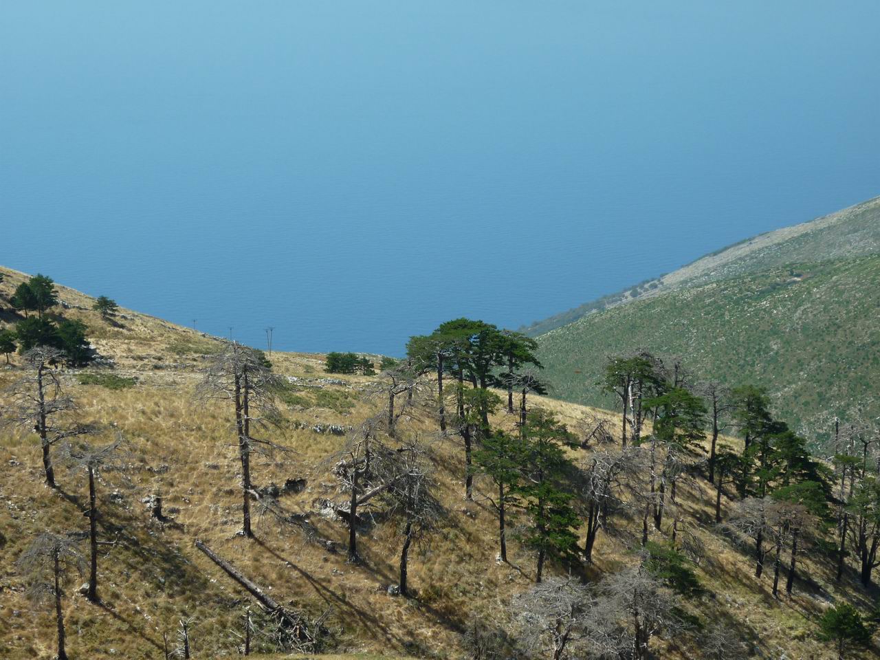 albanie_230.jpg