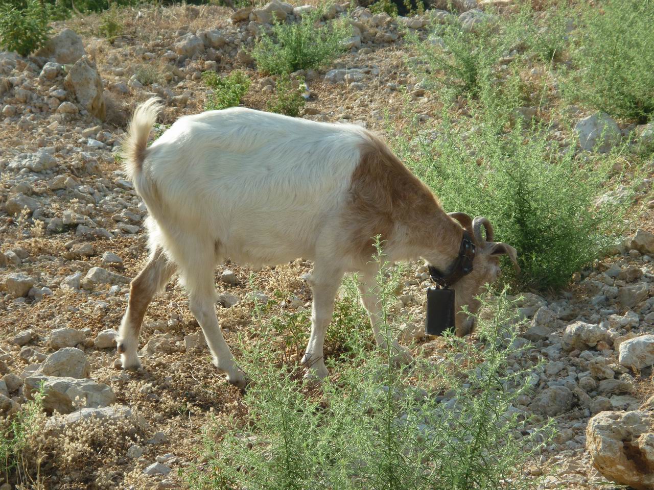 albanie_259.jpg