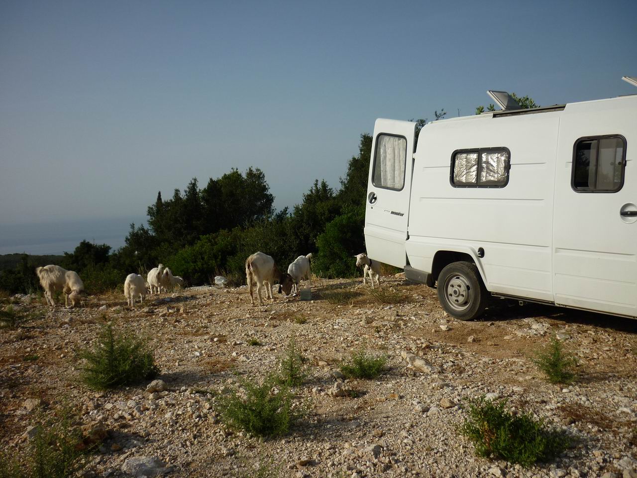 albanie_260.jpg