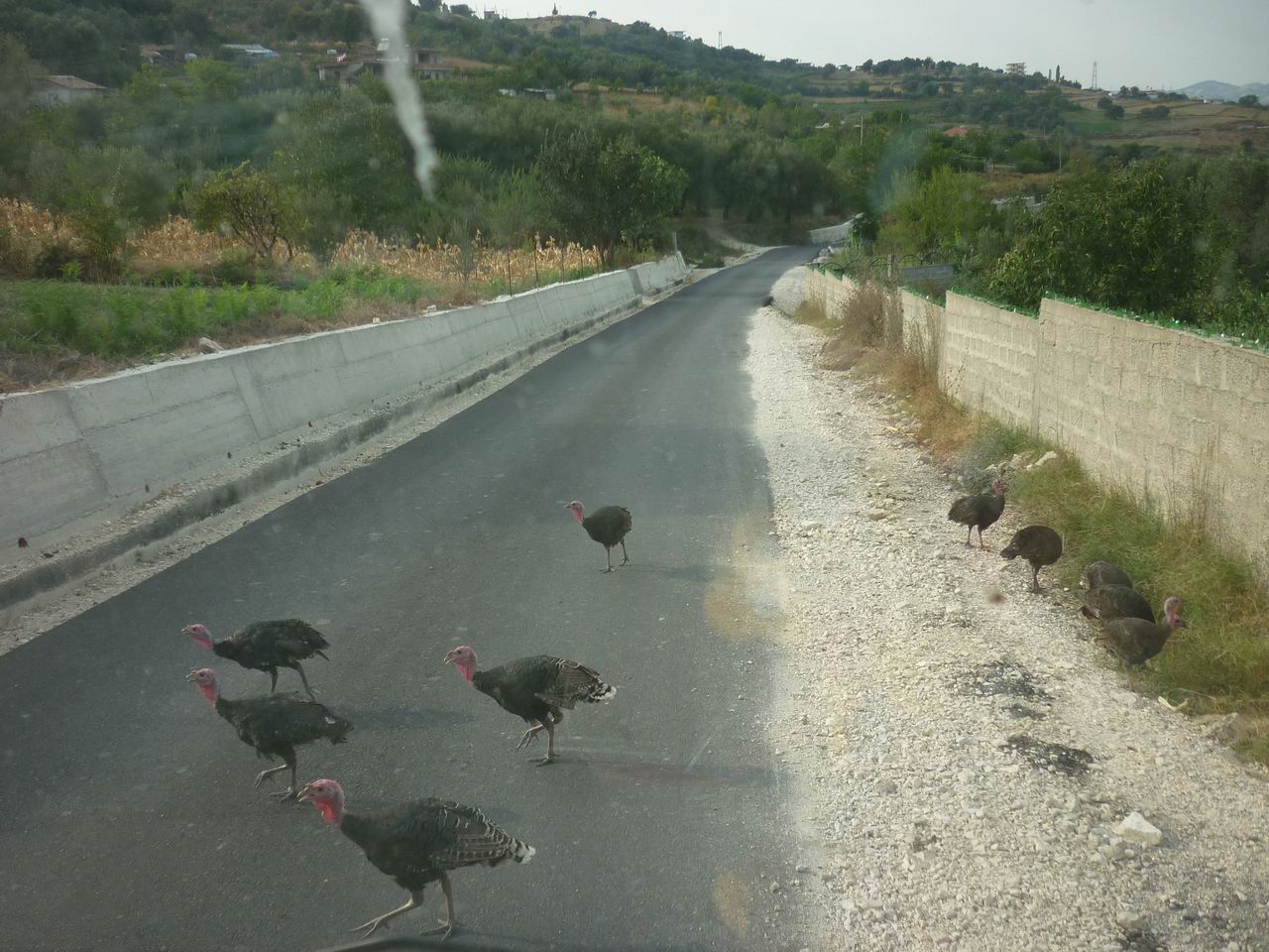 albanie_369.jpg