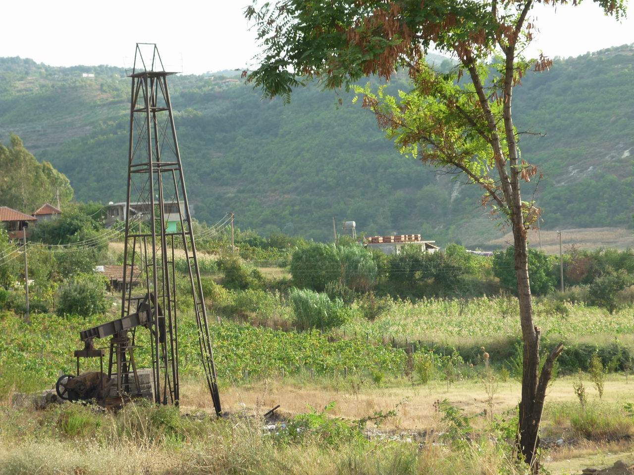 albanie_370.jpg