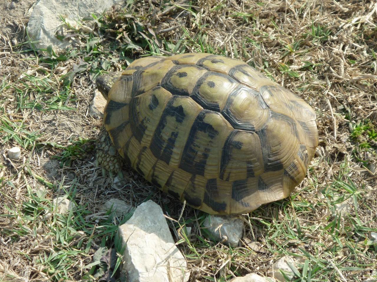 albanie_372.jpg