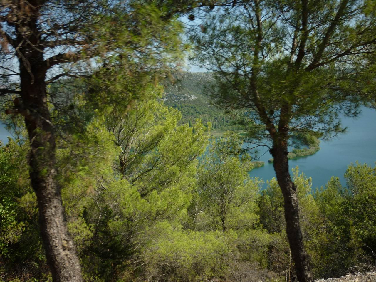 albanie_488.jpg