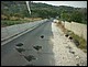 albanie_369.jpg