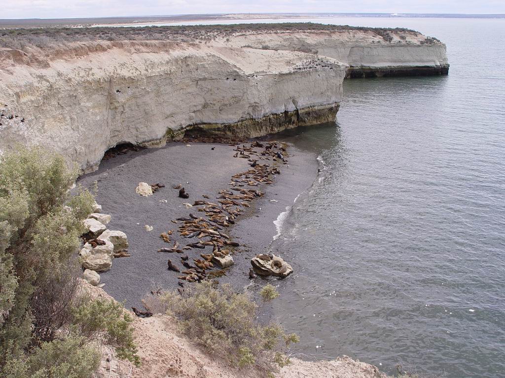 argentine_218.jpg