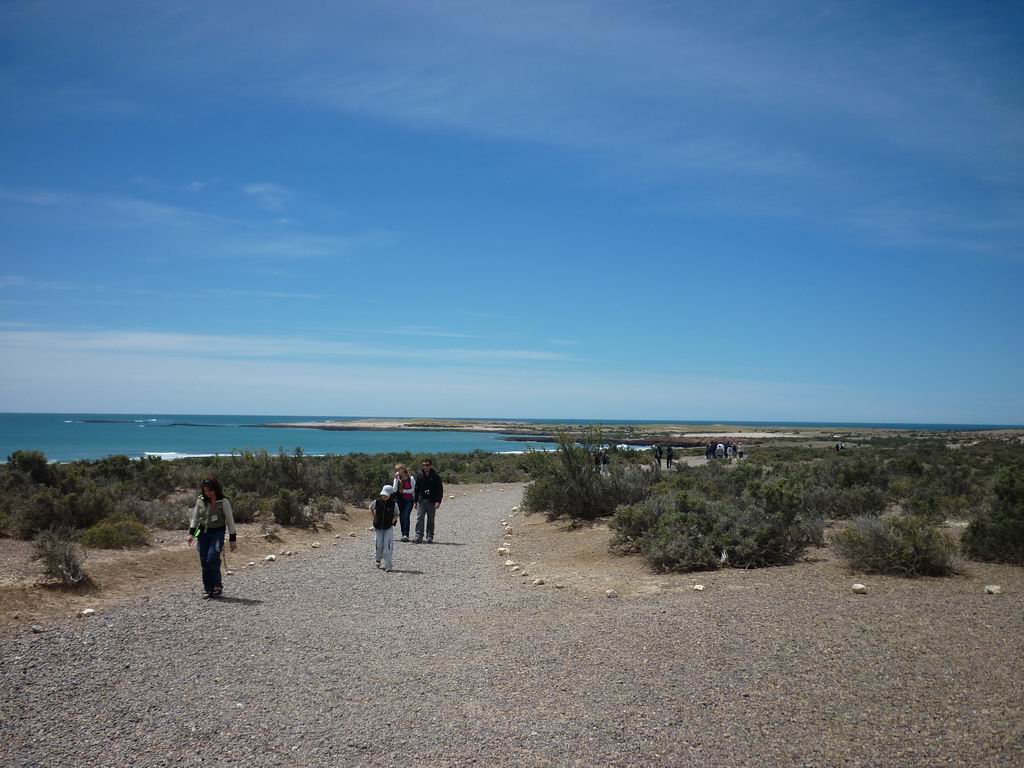 argentine_345.jpg