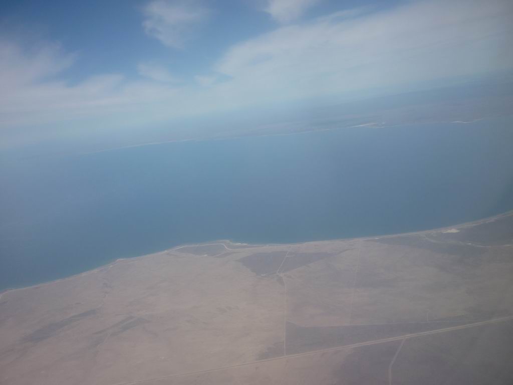 argentine_433.jpg