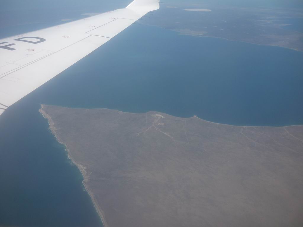 argentine_435.jpg