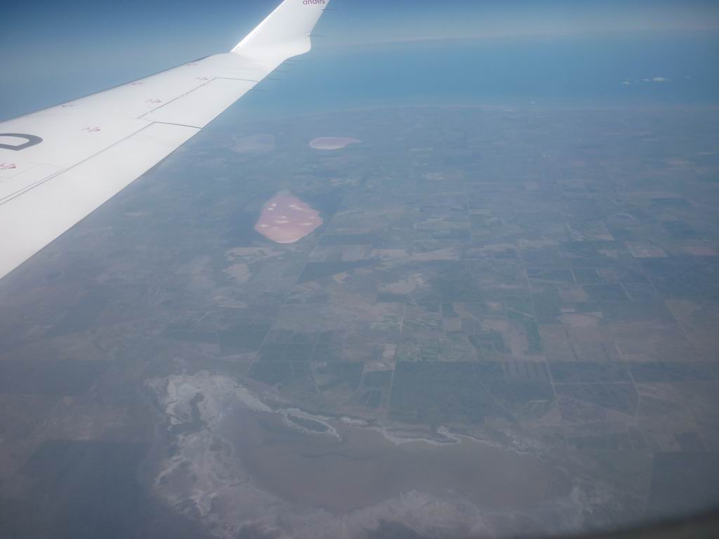 argentine_438.jpg