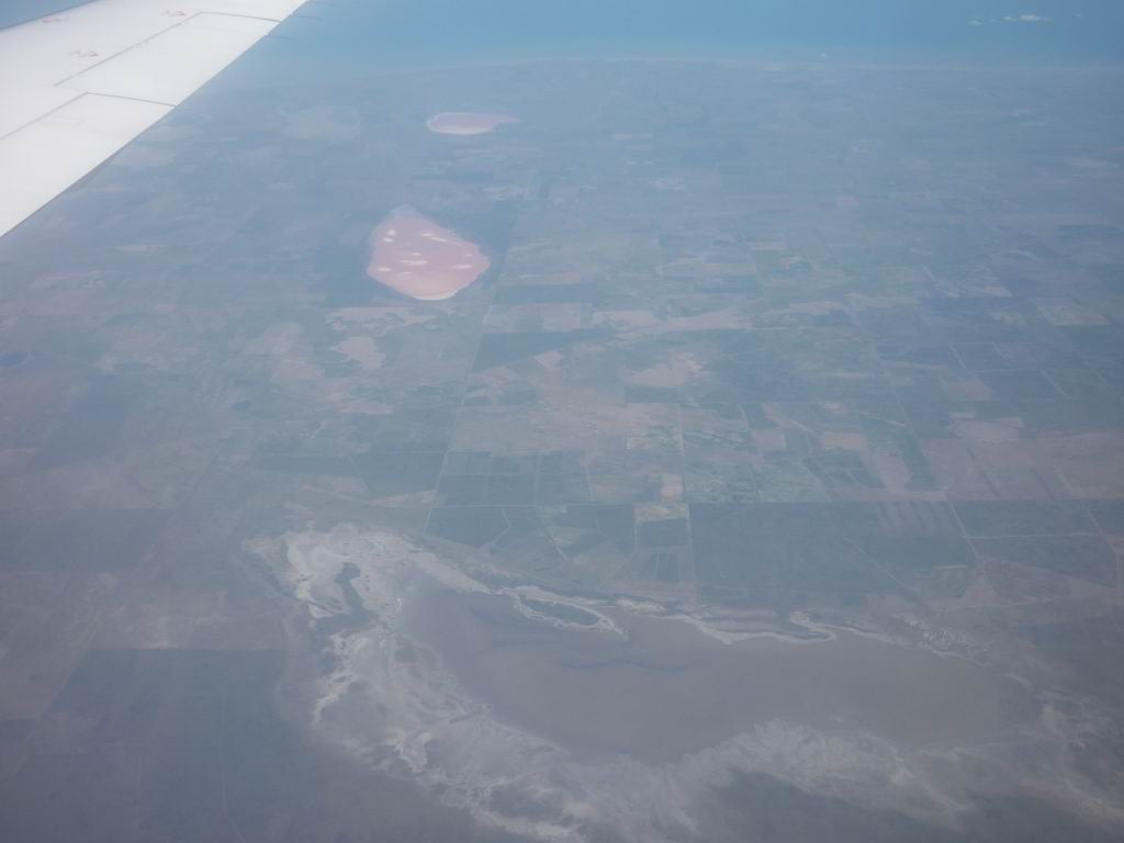 argentine_439.jpg