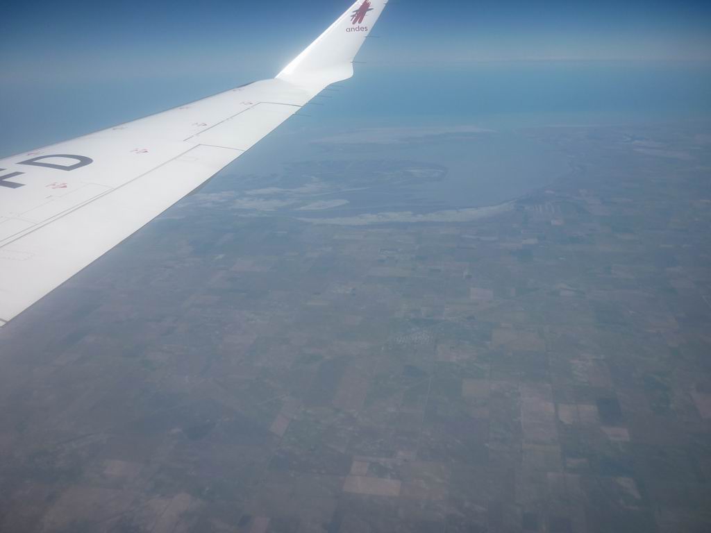 argentine_440.jpg