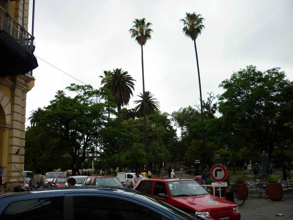 argentine_458.jpg