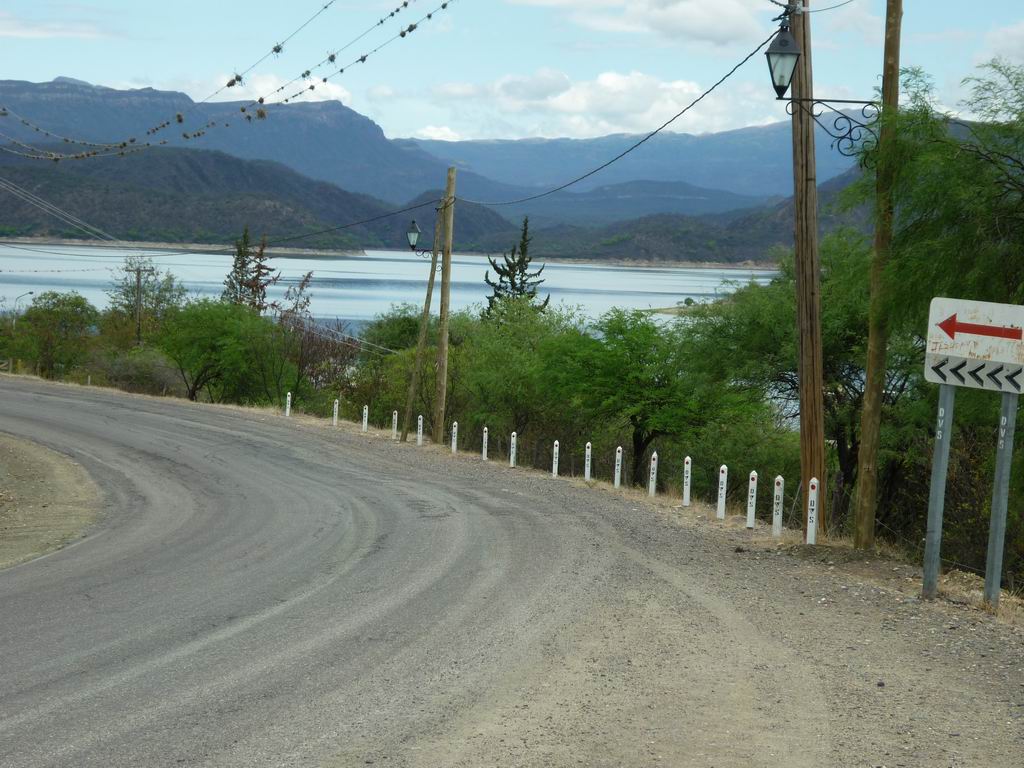 argentine_488.jpg