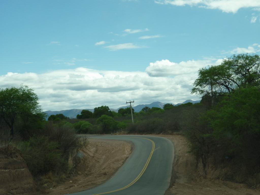 argentine_489.jpg