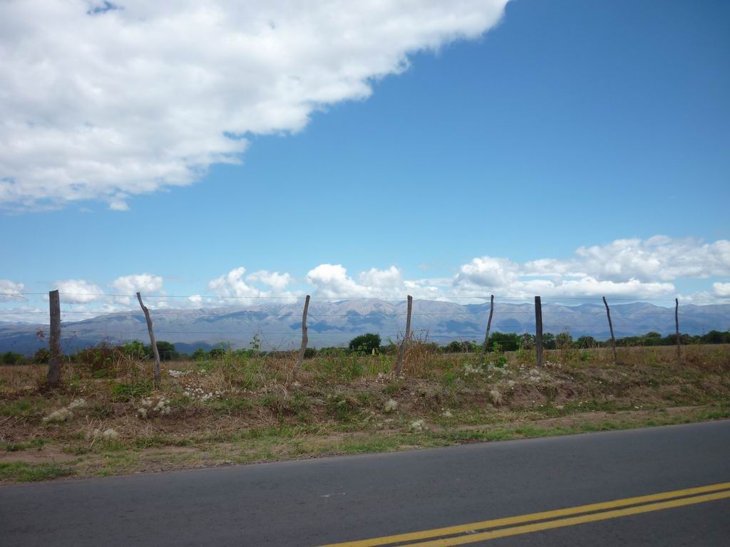 argentine_492.jpg