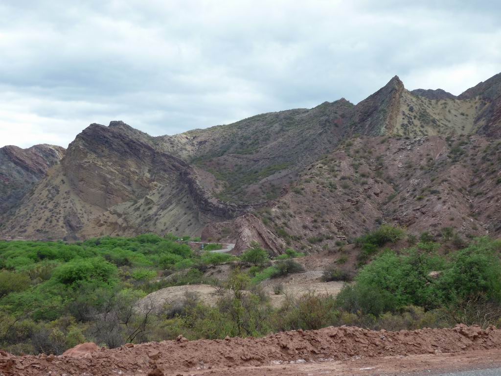 argentine_543.jpg