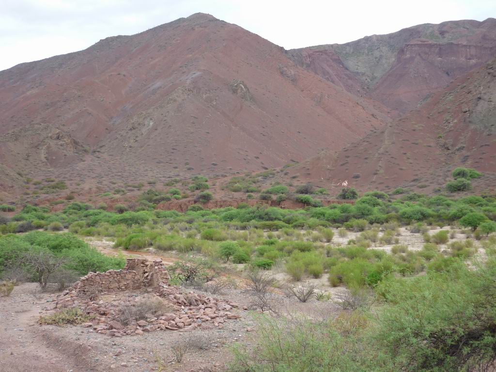argentine_554.jpg