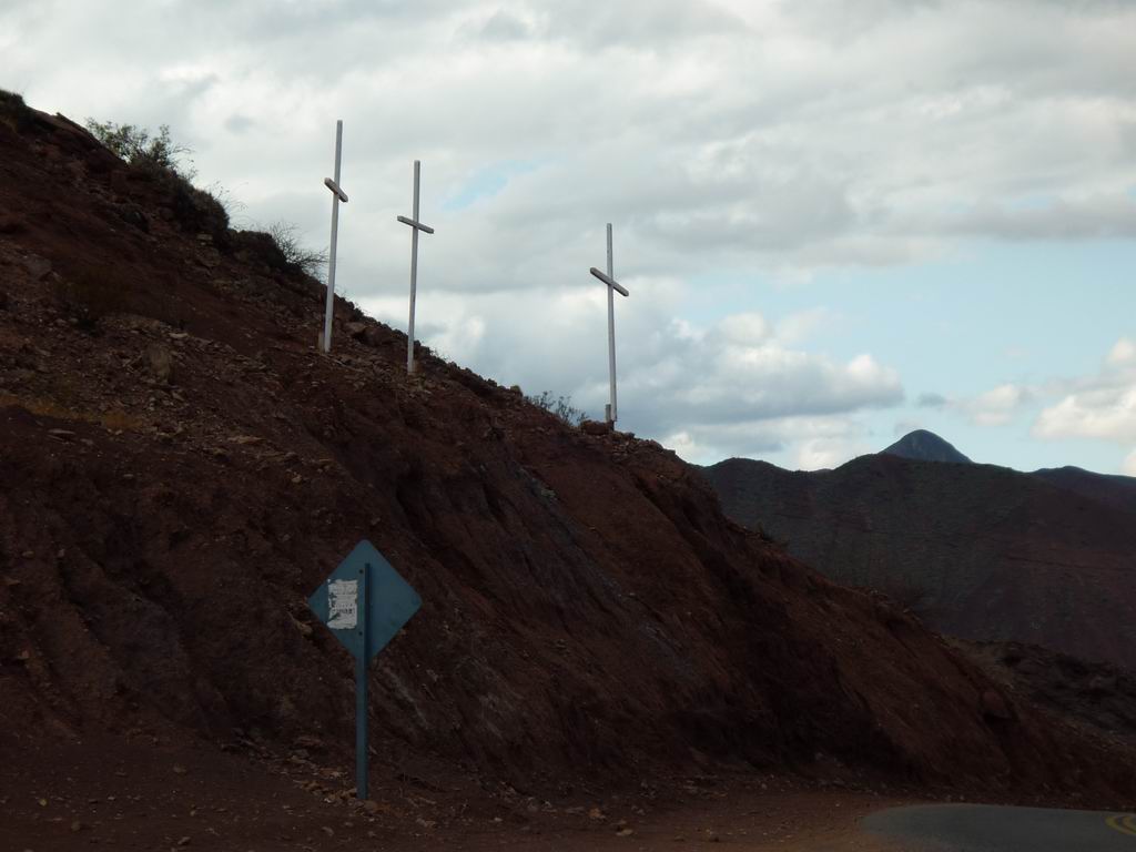 argentine_590.jpg