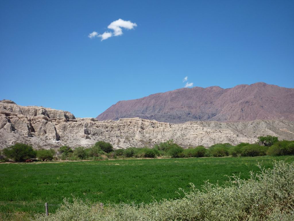 argentine_696.jpg