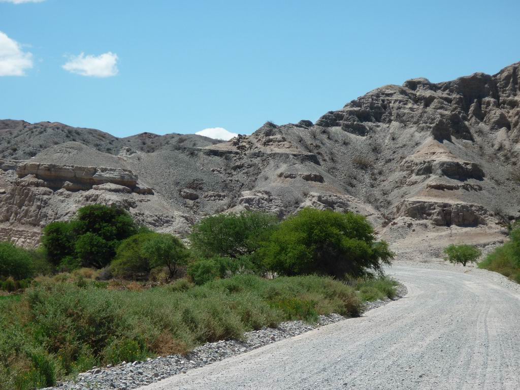 argentine_697.jpg