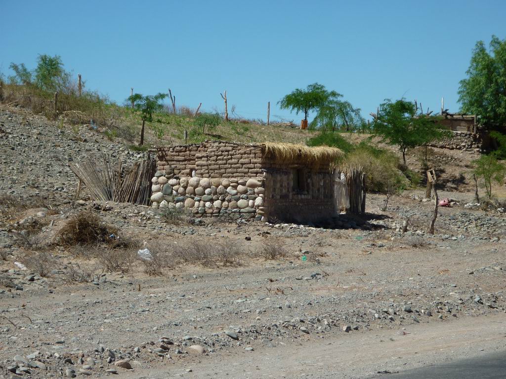 argentine_753.jpg