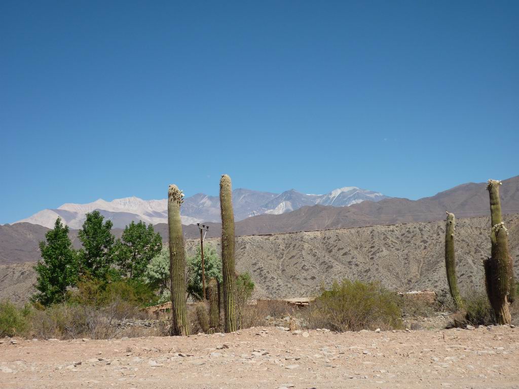 argentine_755.jpg