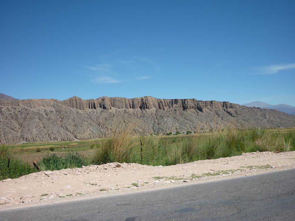 argentine_756.jpg