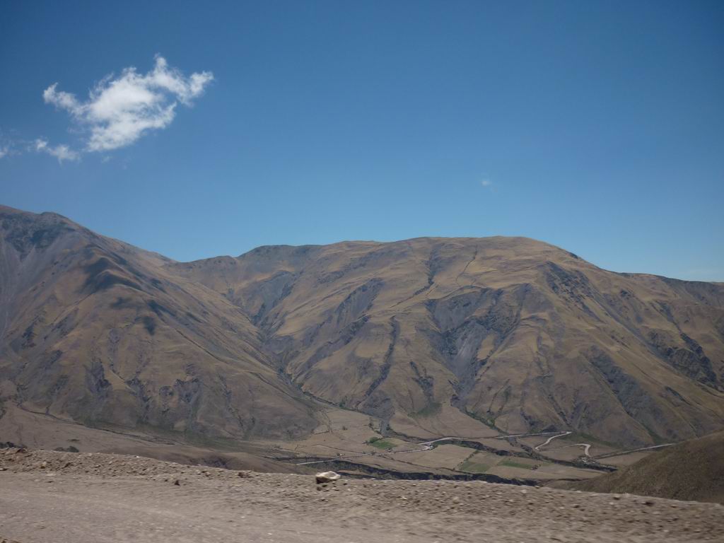 argentine_767.jpg