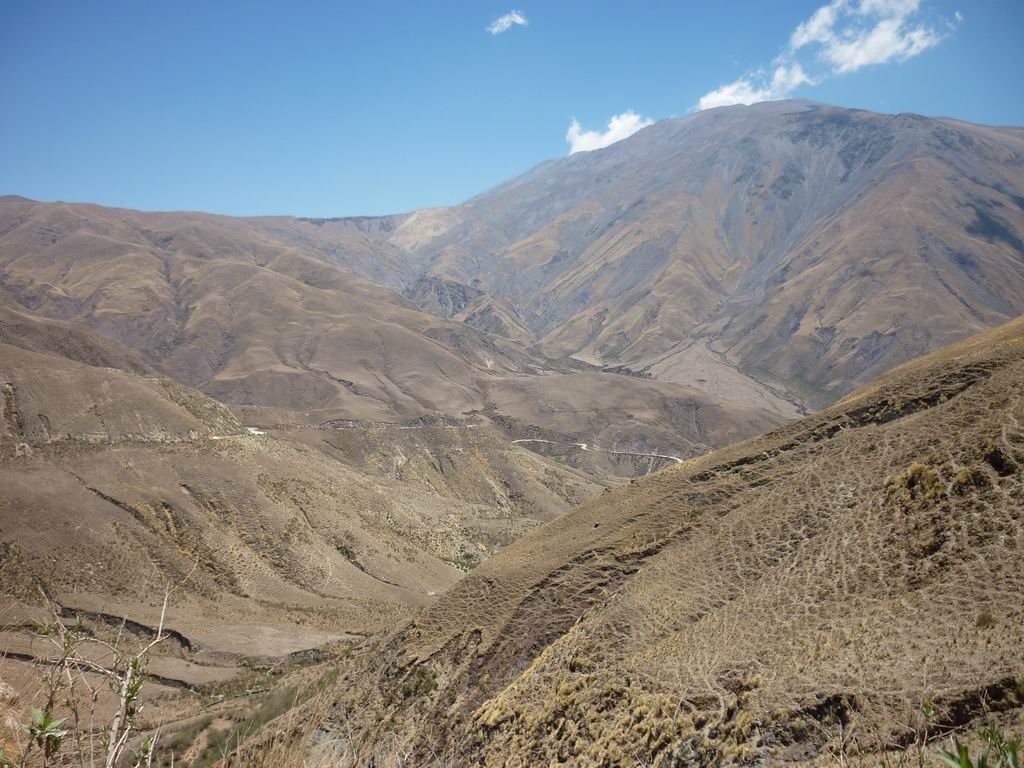 argentine_769.jpg