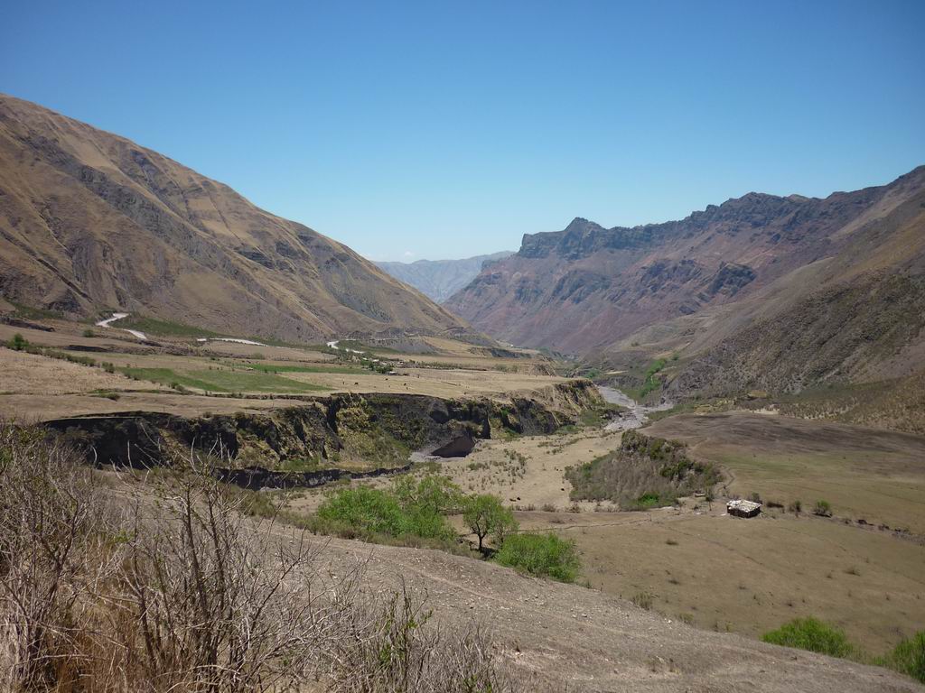 argentine_770.jpg