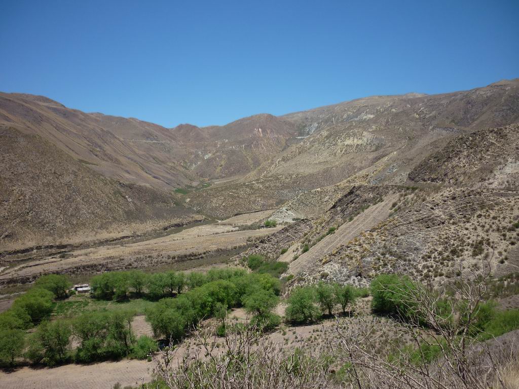 argentine_771.jpg