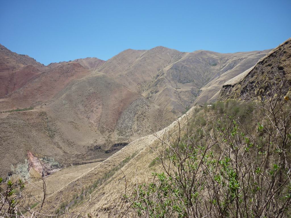 argentine_779.jpg