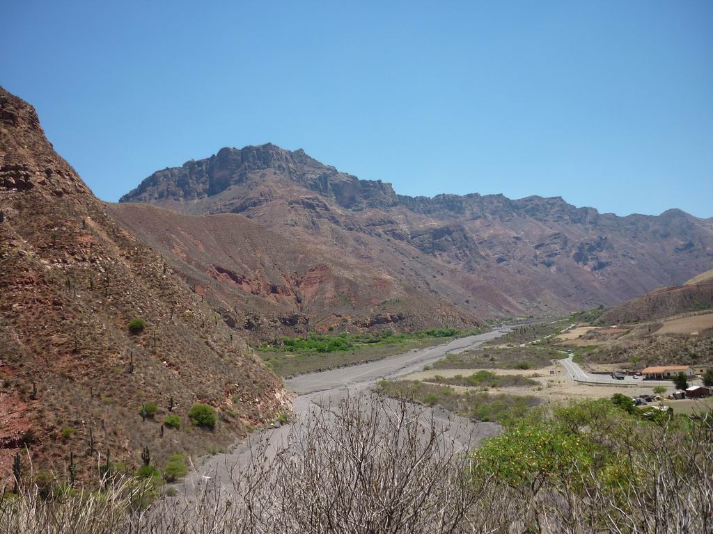 argentine_790.jpg