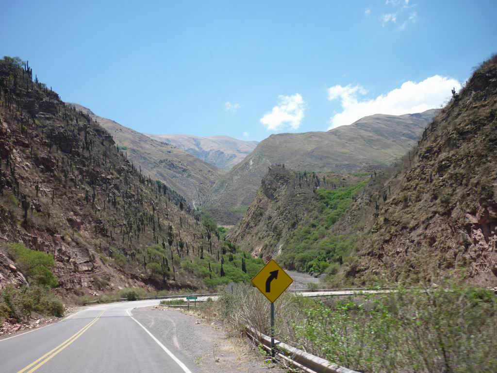 argentine_791.jpg