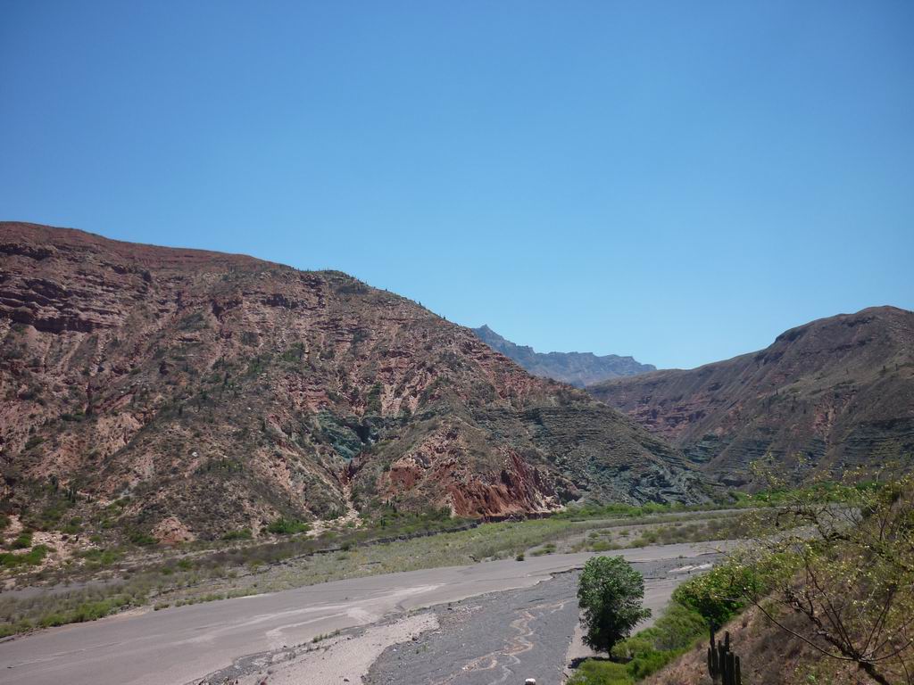argentine_794.jpg