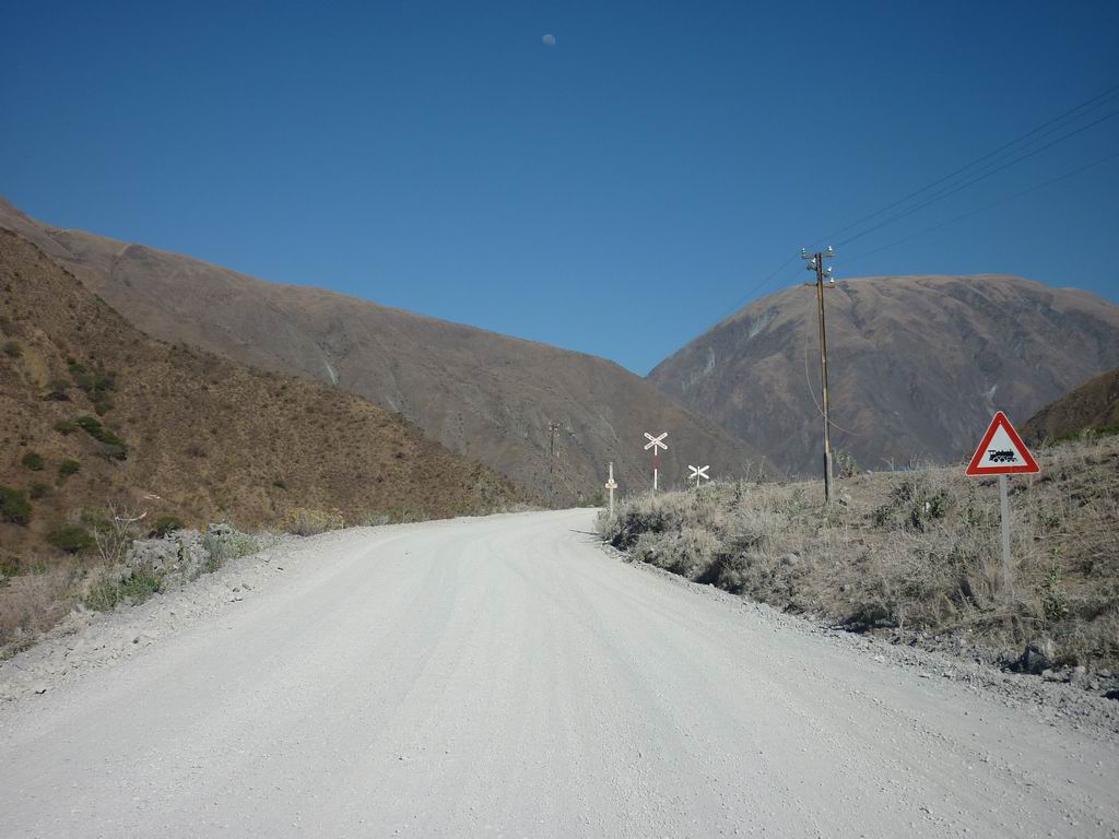 argentine_806.jpg