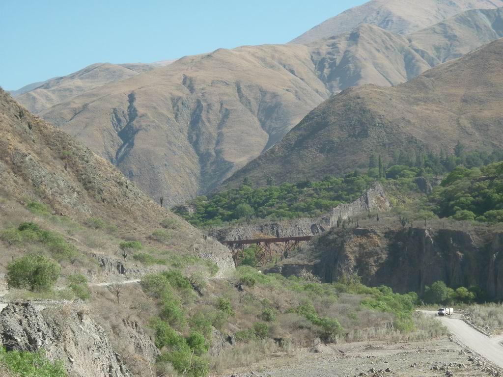 argentine_811.jpg