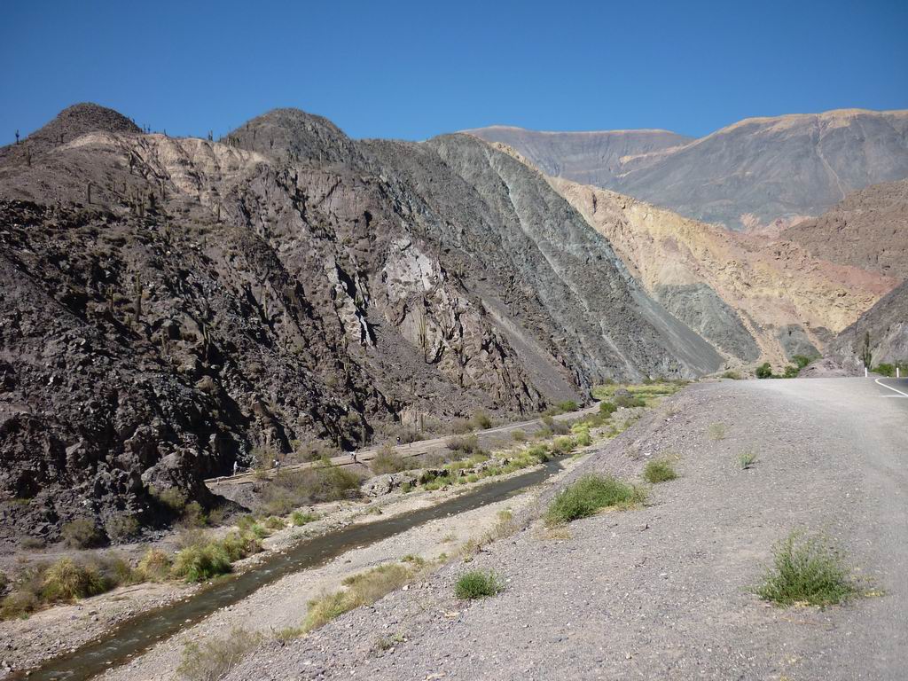 argentine_823.jpg