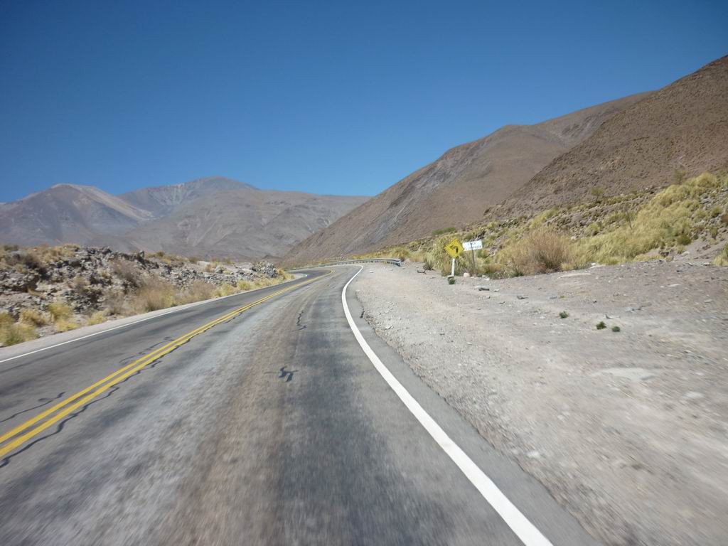 argentine_836.jpg