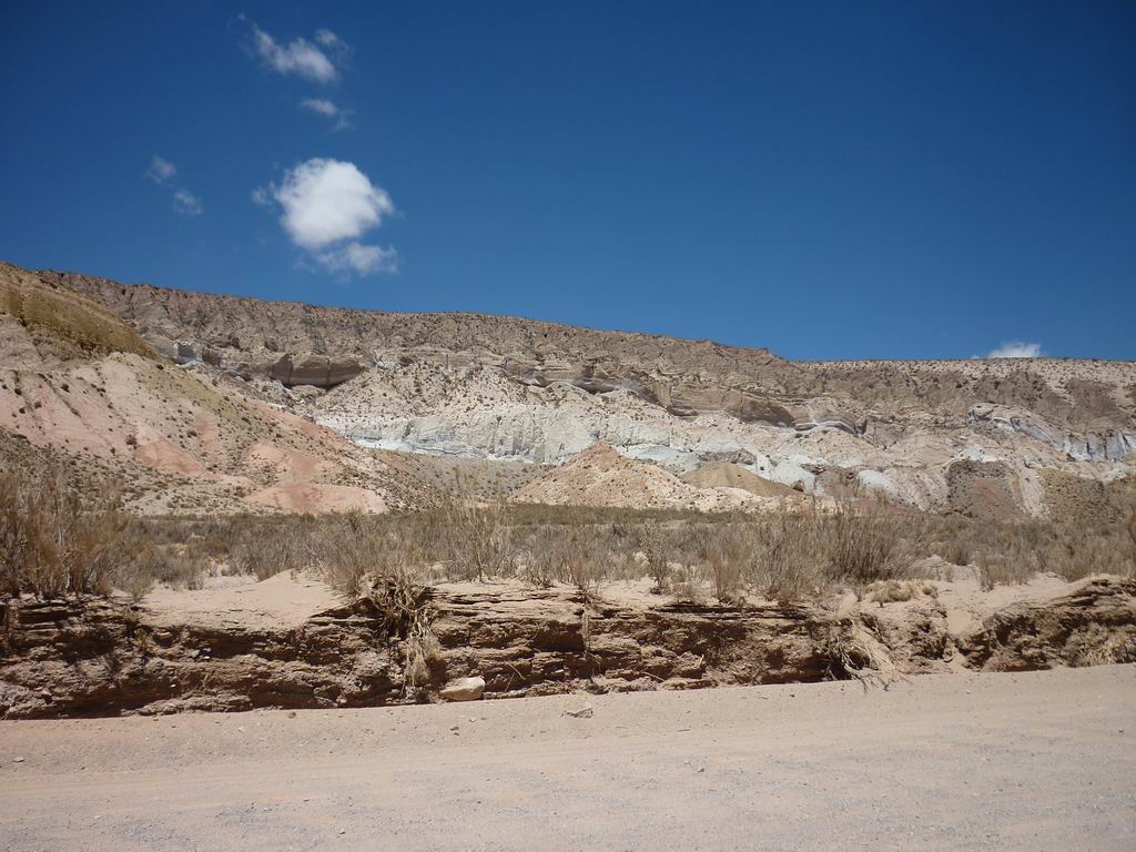 argentine_839.jpg