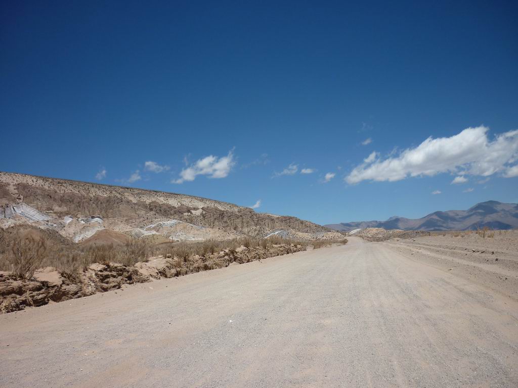argentine_840.jpg