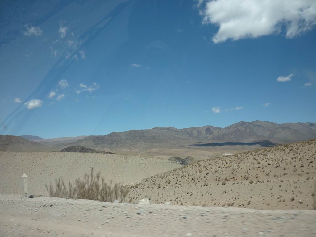 argentine_844.jpg