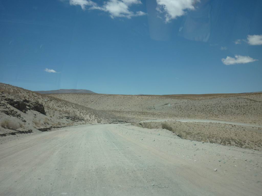 argentine_845.jpg