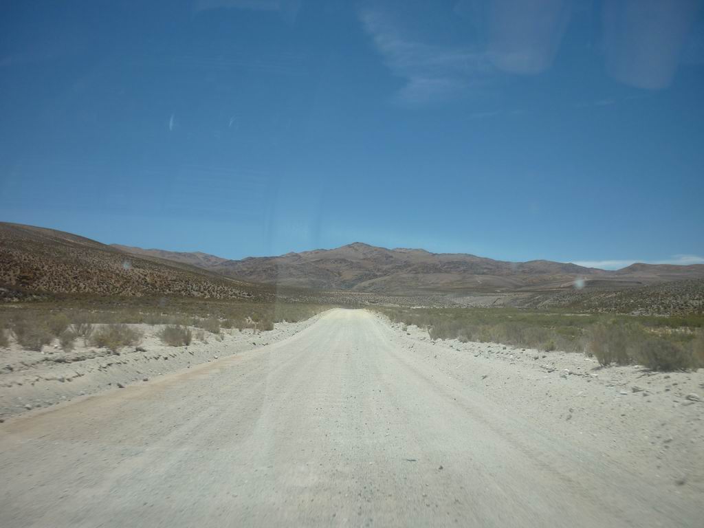 argentine_847.jpg