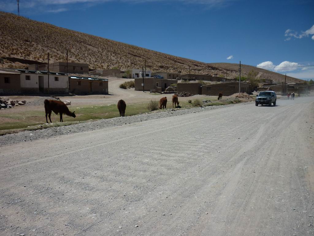 argentine_857.jpg