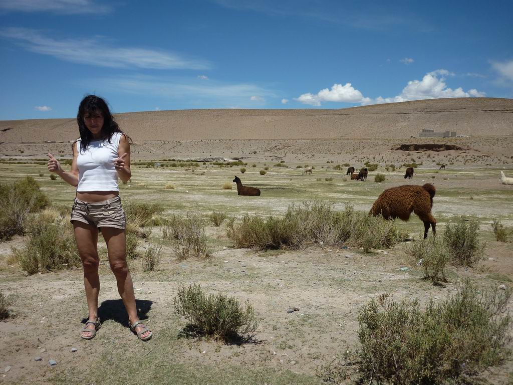 argentine_861.jpg