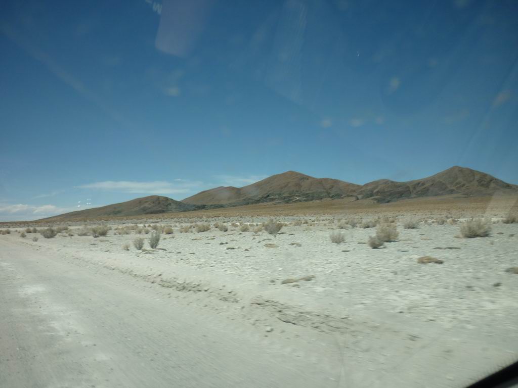 argentine_863.jpg