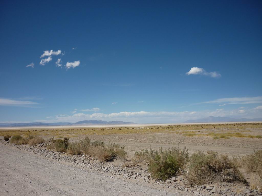 argentine_866.jpg